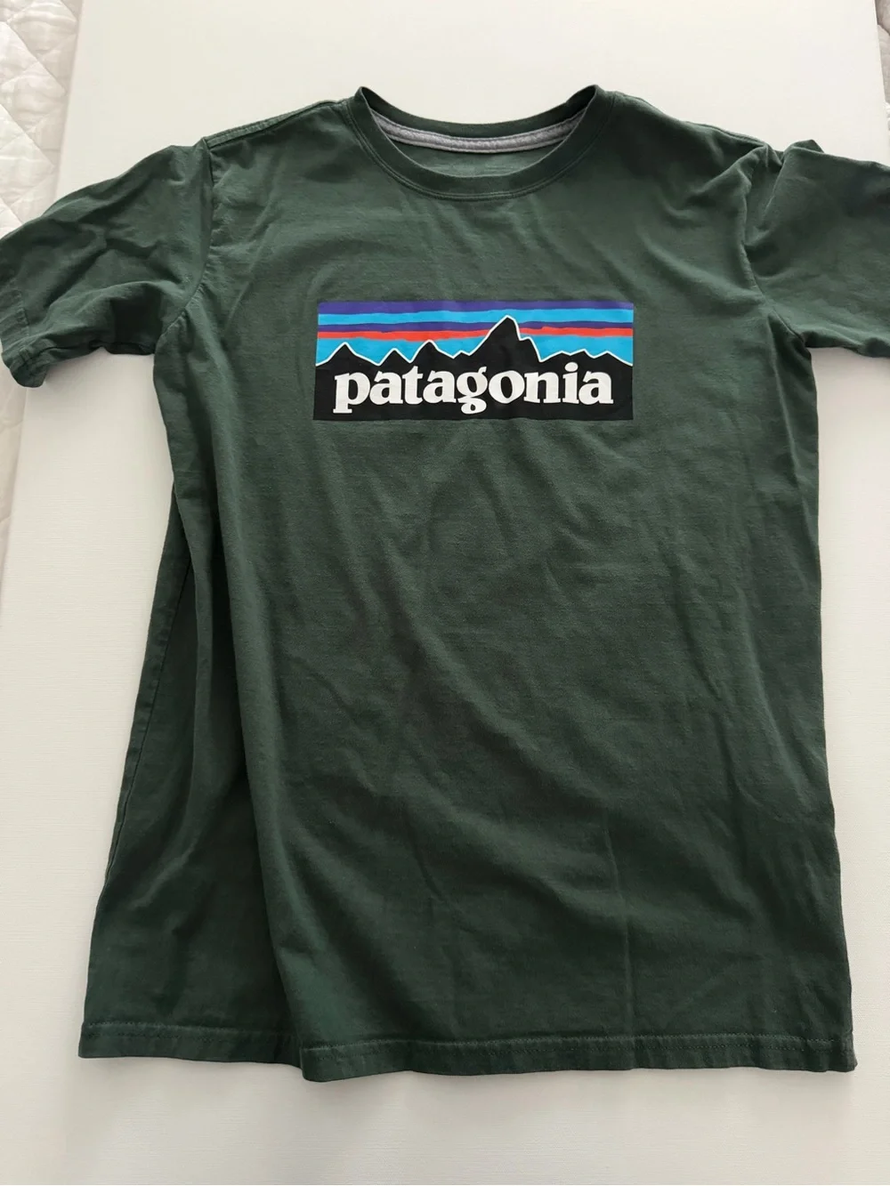 Patagonia Dark Green Kids P-6 Logo Tee with